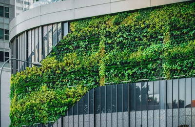 7 Sustainability Tips for Property Investors 