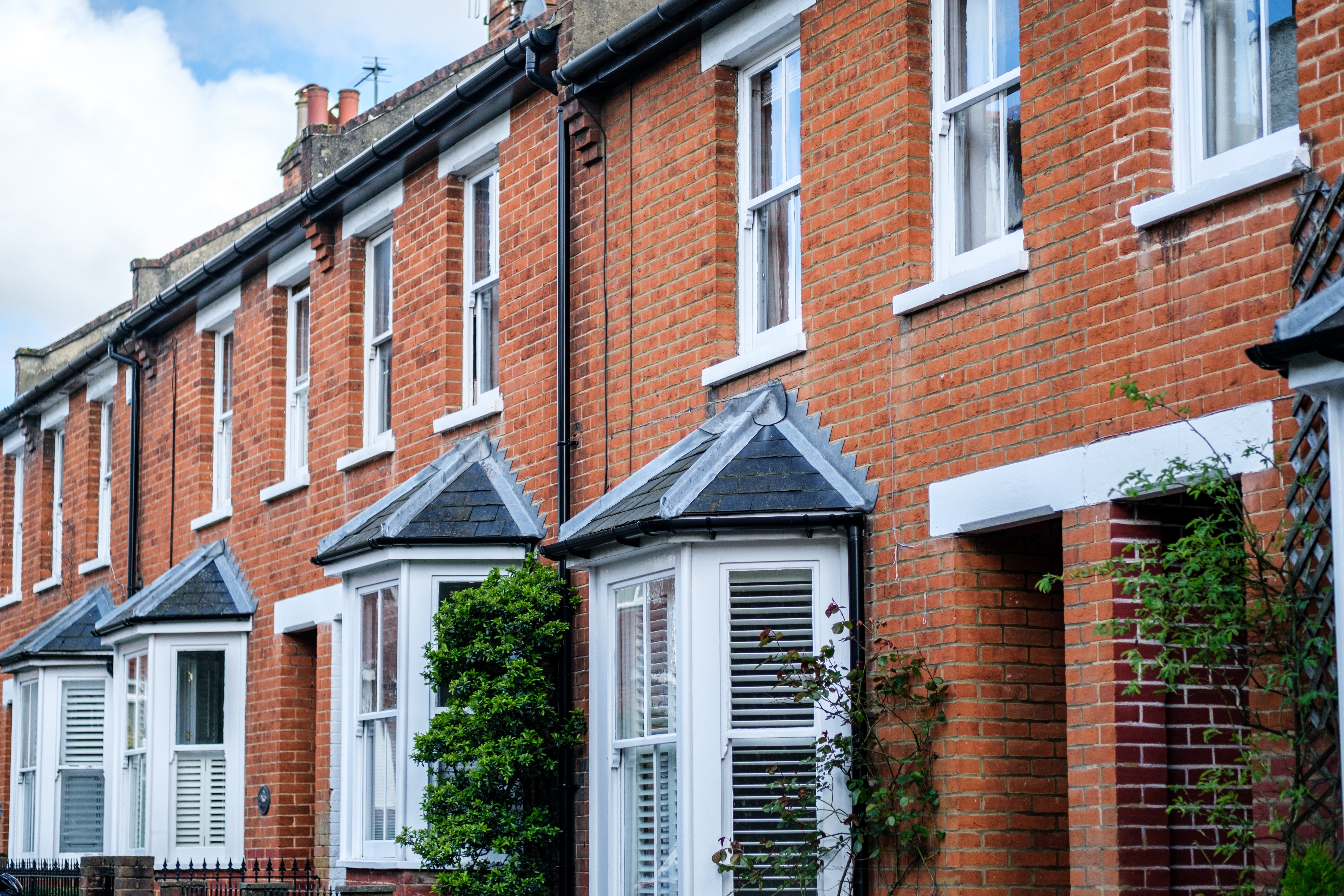 Shutterstock 2443226173